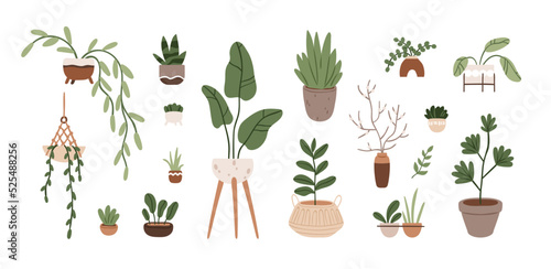 Potted plants set. Leaf houseplants in planters, indoor flowerpots, vases. Different growing foliage decor for modern home interior decoration. Flat vector illustrations isolated on white background