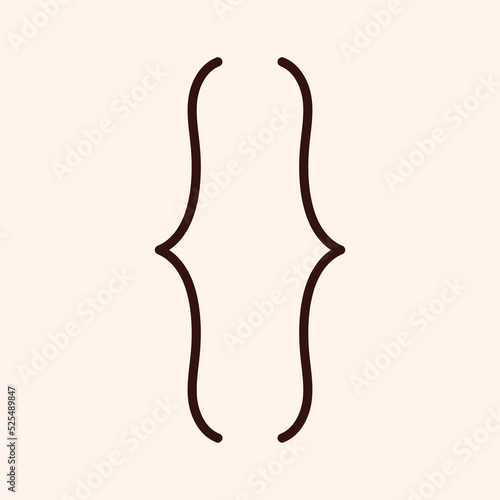Curly brackets pair. Double braces, symmetric mathematics, punctuation symbol for text quote. Typography swirly framed mark, curled sign. Isolated flat vector illustration