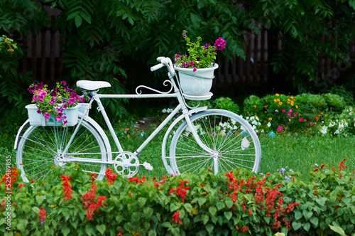 A decorative white bicycle with flower pots surrounded by flower beds. White bicycle in a green garden. Wet plants and details after rain. Selective focus