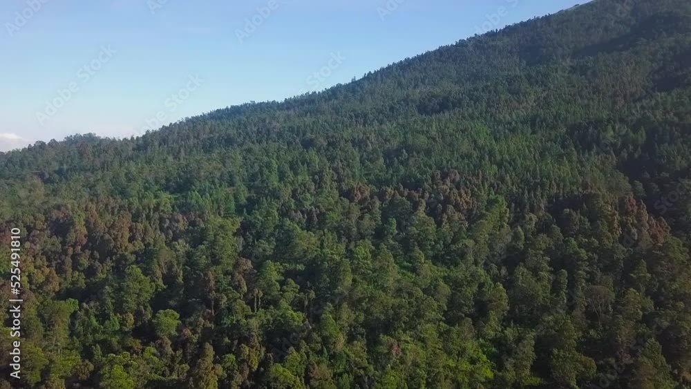 aerial view of dense vegetation in the forest on the slope of mount Sumbing central java. footage of jungle. 4K videos. aerial view of dense vegetation in the forest on the slope of mount Sumbing central java. footage of jungle. 4K videos.