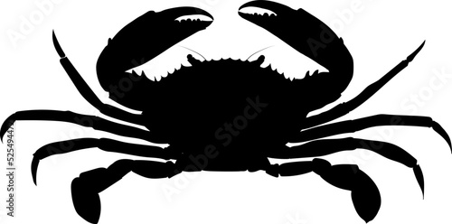 Sea crab is a favorite dish of many people. Silhouette