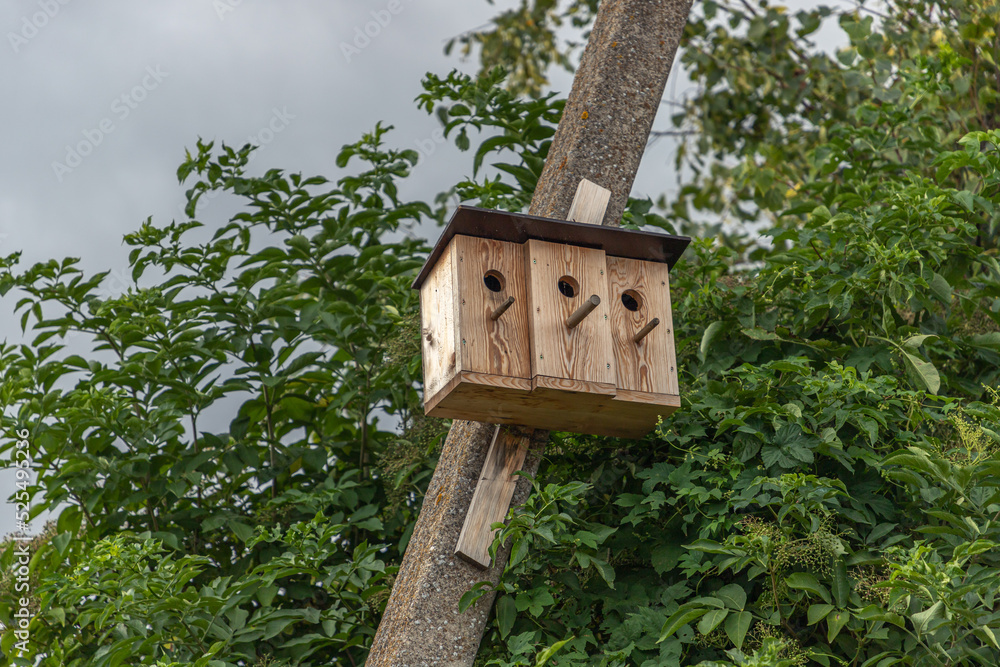 Those places are a nest for birds Those places are a nest for birds