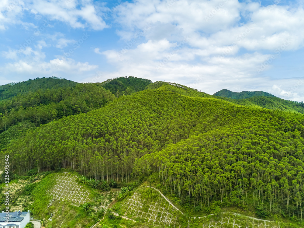 Aerial photography of green mountains, blue sky and white clouds on the outskirts of Guangxi