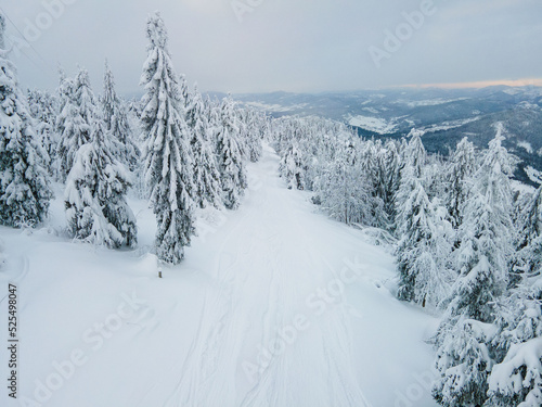 aerial landscape view of ukraine carpathian mountains winter time