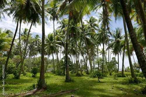 Bikendrik island resort in Majuro  Marshall islands