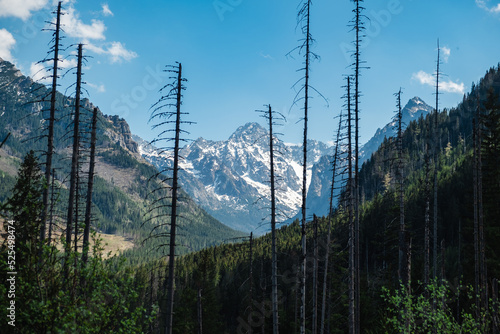 View of the Tatras Mountains