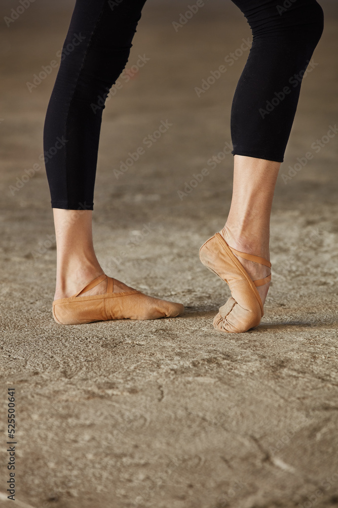 Ballet dancer standing in pose Ballet dancer standing in pose