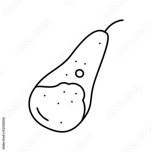 pear conference whole line icon vector illustration