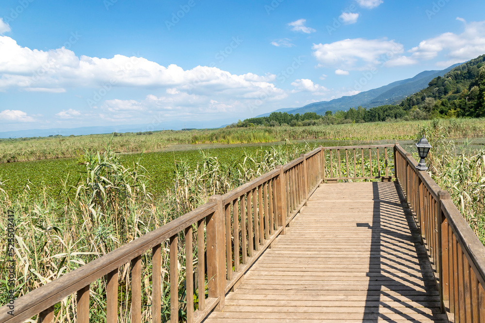 Fototapeta premium Duzce, Turkey- Ausugust 2022; A pleasant trip to Efteni lake. Efteni lake is quite a visit to the stream.