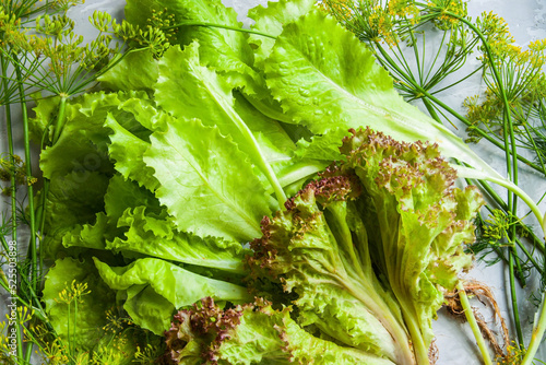 fresh apetite lettuce salad photo