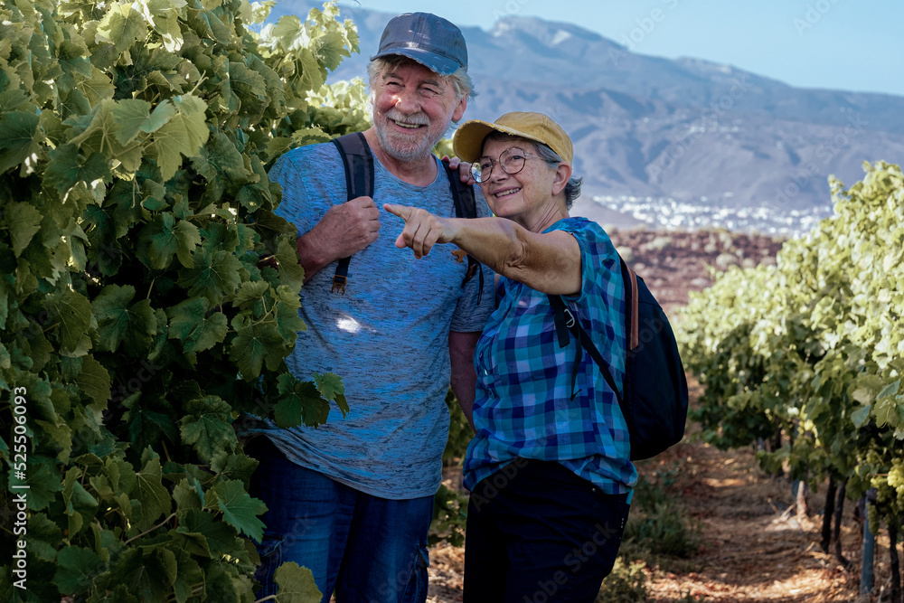 Senior couple of tourists in Tenerife travel visiting vineyard walking amongst grapevines. People on holiday in summer valley landscape.