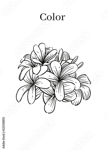 High Resolution Printable Colouring Worksheets for Kindergarten and Preschool Kids, Drawing Practise A4 Printable Designs.
