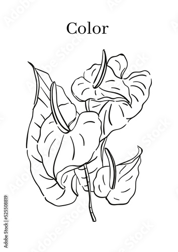 High Resolution Printable Colouring Worksheets for Kindergarten and Preschool Kids, Drawing Practise A4 Printable Designs.