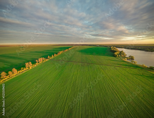 aerial photography of rural nature