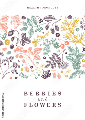 Wild berries card or invitation in engraved style. Hand drawn fruits and flowers vector frame design. Vintage plants sketch. Summer berries - strawberry, raspberry, bilberry, blackberry, cherry.