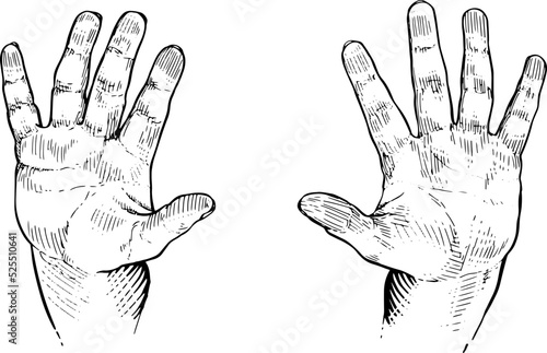 Hands open as stop sign.Hand language, pause, non-verbal communication.Black and white vector illustration on white background