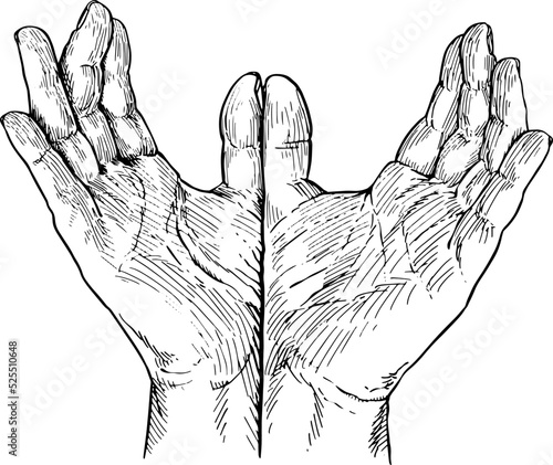Two open hands joined by the thumbs, as a sign of receiving. Hand language, non-verbal communication. Black and white vector illustration on white background