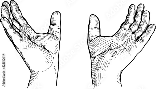 Two open hands spaced apart,as a sign of receiving. Hand language, non-verbal communication. Vector illustration on white background
