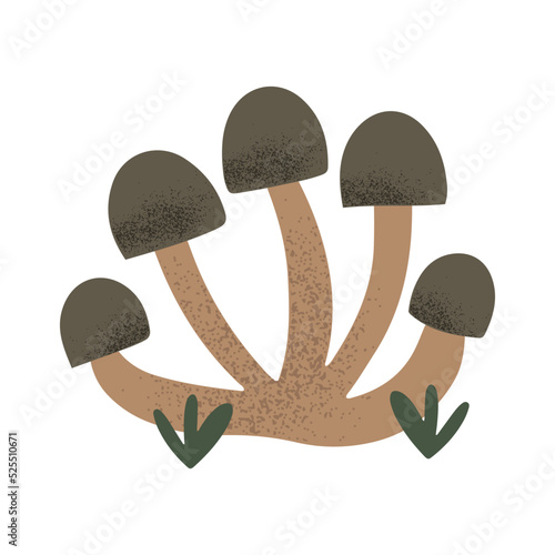 Hand drawn bunch of edible shimeji mushrooms, isolated on white vector illustration