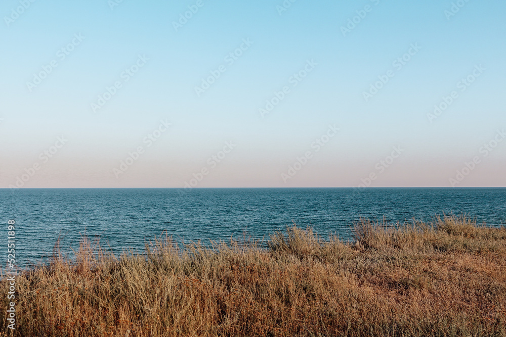 High seashore overgrown with grass and meadow plants. Sea landscape.