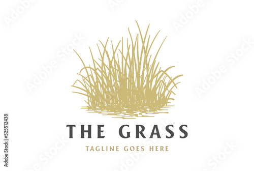 Vintage Retro Grass Meadow Lawn or Wheat Rice Farm Logo Design Vector