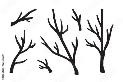 Fototapeta Naklejka Na Ścianę i Meble -  Branches hand drawn set. Branch Ink illustration. Design element.
