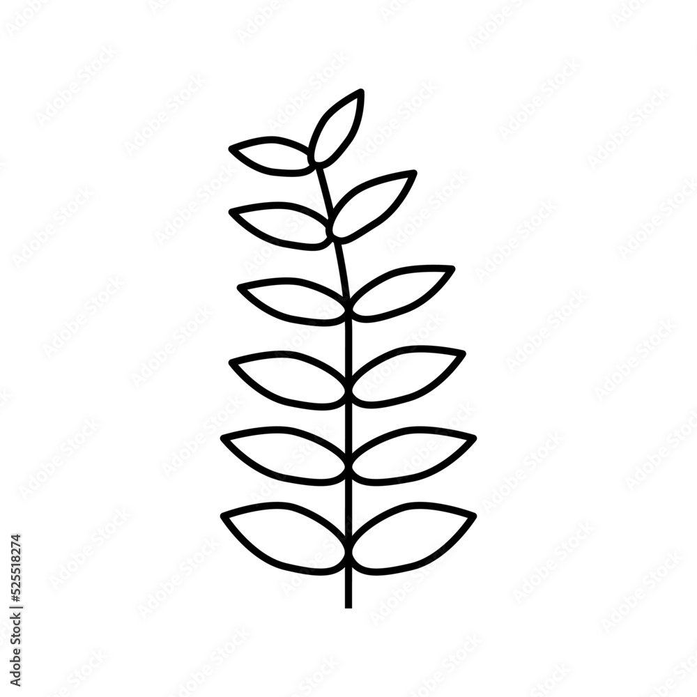 walnut leaf line icon vector illustration
