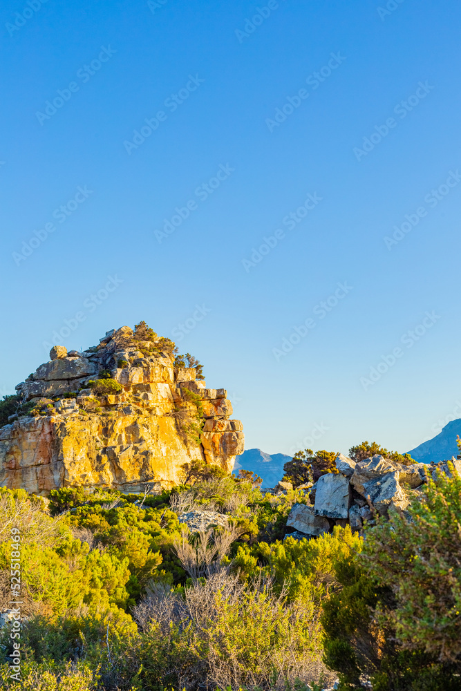 Rugged mountain landscape with fynbos flora in Cape Town.