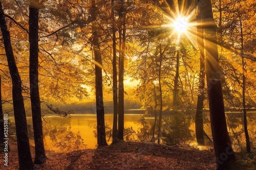 Bright sunbeams of the setting sun breaking through the beautiful autumn forest. Beautiful natural landscape. Calming and relaxing scene.