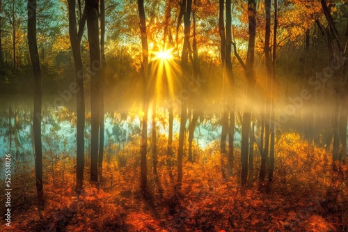 Bright sunbeams of the setting sun breaking through the beautiful autumn forest. Beautiful natural landscape. Calming and relaxing scene.