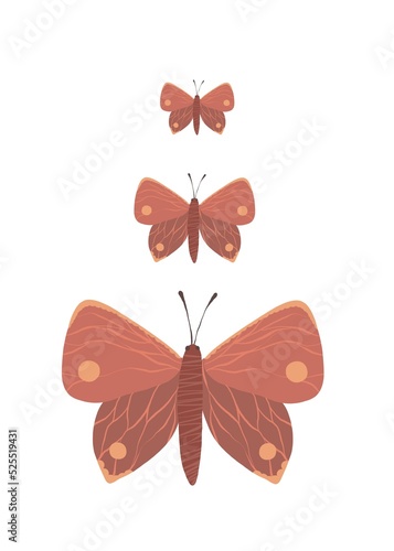 Abstract and unusual butterflies