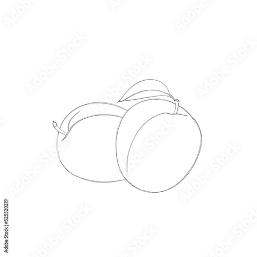 ripe plum - template for children's coloring, children's task to color the pi...