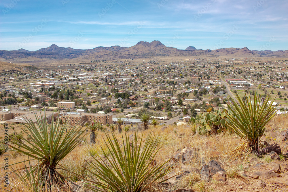 City palm grass field view of Alpine Texas in the southwest Texas desert