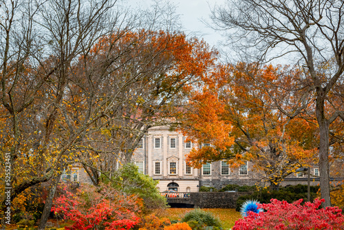 Coloful autumn tree foliage and fall trees at the Cheekwood Estate in Nashville Tennessee photo