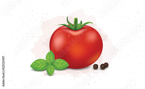Red Tomato vegetable vector illustration with basil leaves and black pepper