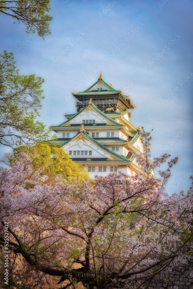 View of Osaka Castle with cherry blossom trees as a frame and dramatic sky. View of Osaka Castle with cherry blossom trees as a frame and dramatic sky.
