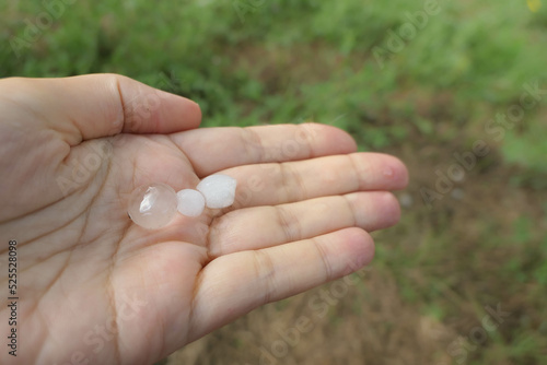 Caucasian woman hand with 3 hail round balls after a storm precipitation © Julia