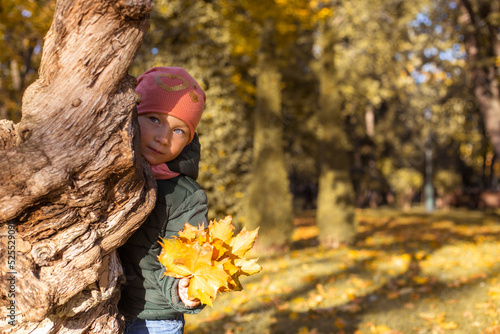 Child girl with a bouquet of leaves hides behind a tree in the park.