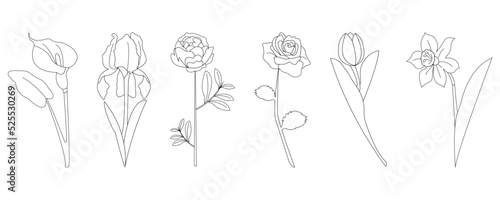Calla, rose, tulip, narcissus, peony and iris flowers on white background
