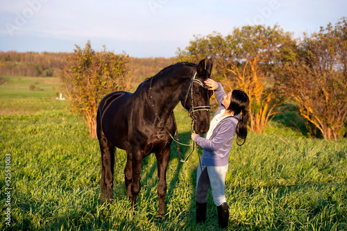  beautiful black horse with his owner and rider posing in green grass meadow. spring time