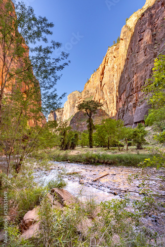 Virgin river at Zion National park vertical view of riverbed with Zion mountains