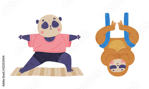 Cute animals doing yoga. Panda bear and sloth performing various yoga poses set cartoon vector illustration