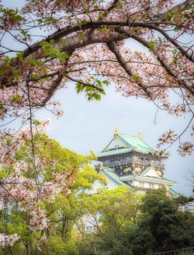 Fototapeta premium Osaka castle with cherry blossoms as a frame.