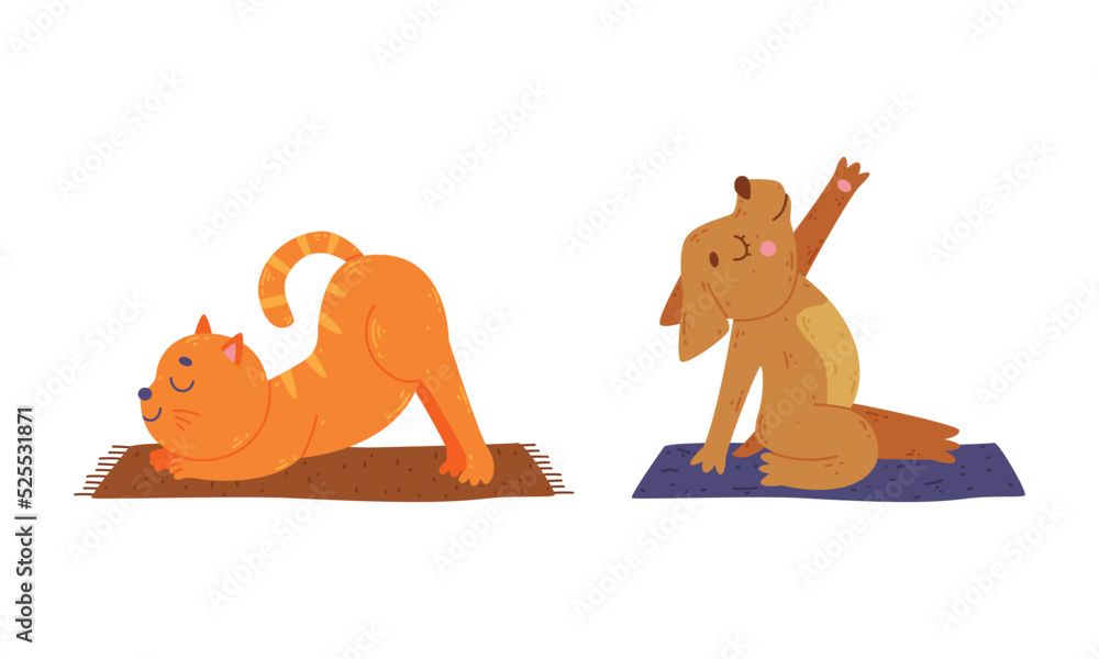 Cute animals doing yoga. Cat and dog performing yoga asanas set cartoon ...