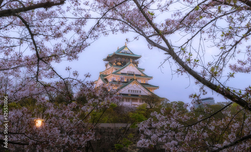 Osaka castle at dusk seen among cherry blossoms. photo