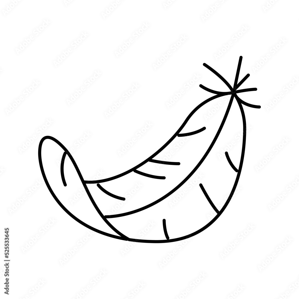 Fototapeta premium failing feather soft fluffy line icon vector illustration
