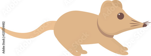 Small shrew icon cartoon vector. Agriculture animal. Domestic mouse