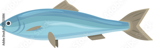 Sardine fish icon cartoon vector. Sea herring. Food animal
