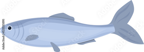 Sea sardine icon cartoon vector. Herring fish. Seafood store
