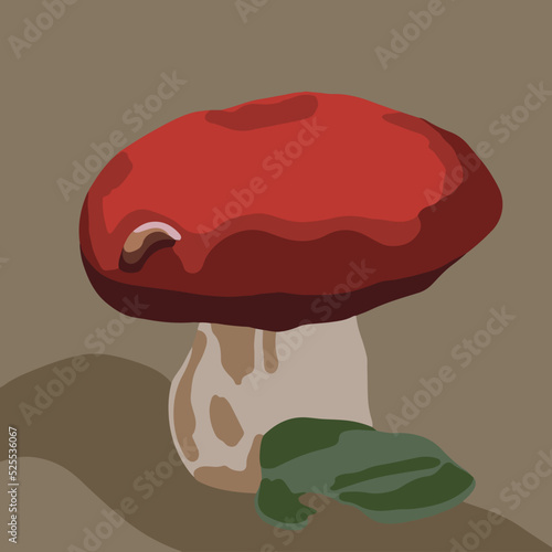 Vector illustration of a porcini mushroom with a leaf.